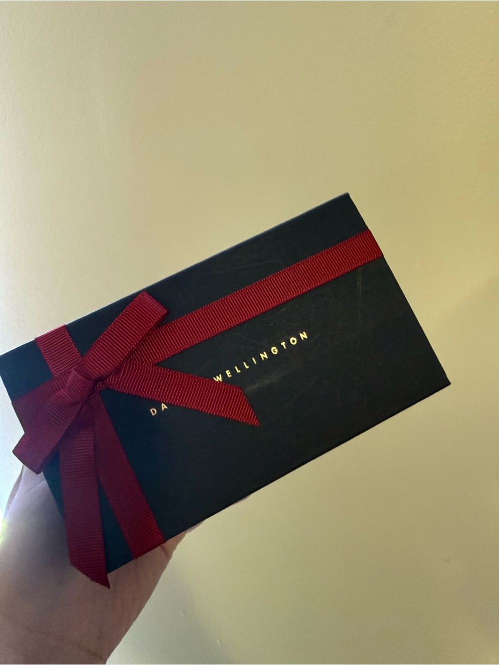 Daniel Wellington Watch